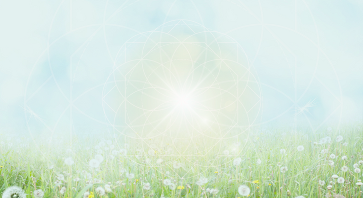 Spring Equinox 2025: A Powerful Portal for Renewal & Manifestation