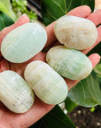 sarah belle carribean calcite palm stone