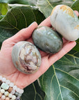 desert jasper palm stone sarah belle