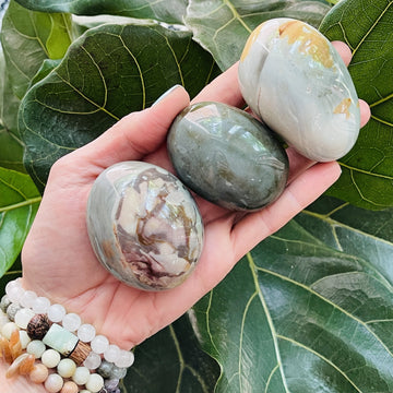 desert jasper palm stone sarah belle