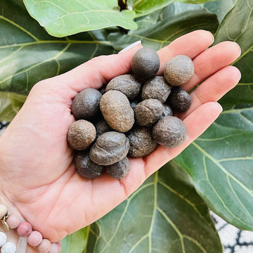 Moqui marbles or shaman stones for spiritual awakening and protection from sarah belle